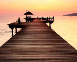 “And let the peace of God rule in your hearts, to which also you were called in one body; and be thankful.”