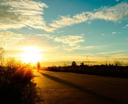 What has been your motivation?