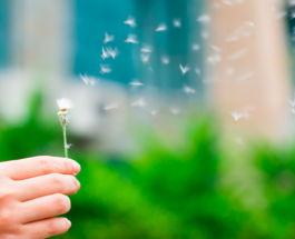 The Calling of the chosen