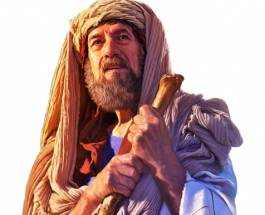 What is the purpose of a test?