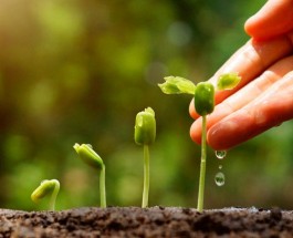 Faith, patience and time