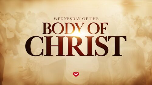 IMAGE 2026-01-22 08:19:21