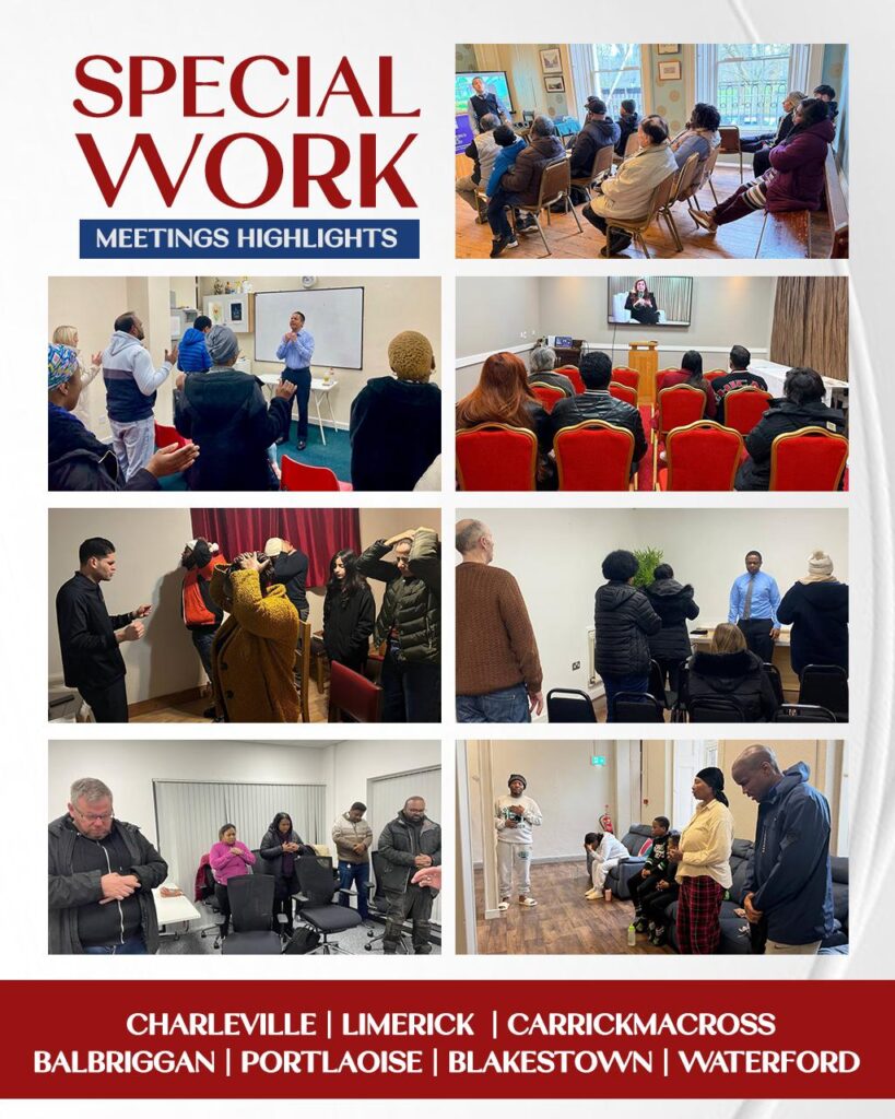 IMAGE 2026-01-23 15:14:07