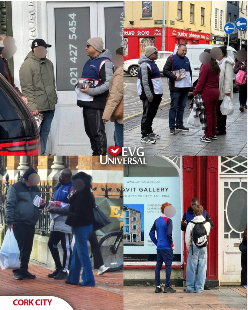 IMAGE 2026-01-23 15:15:44