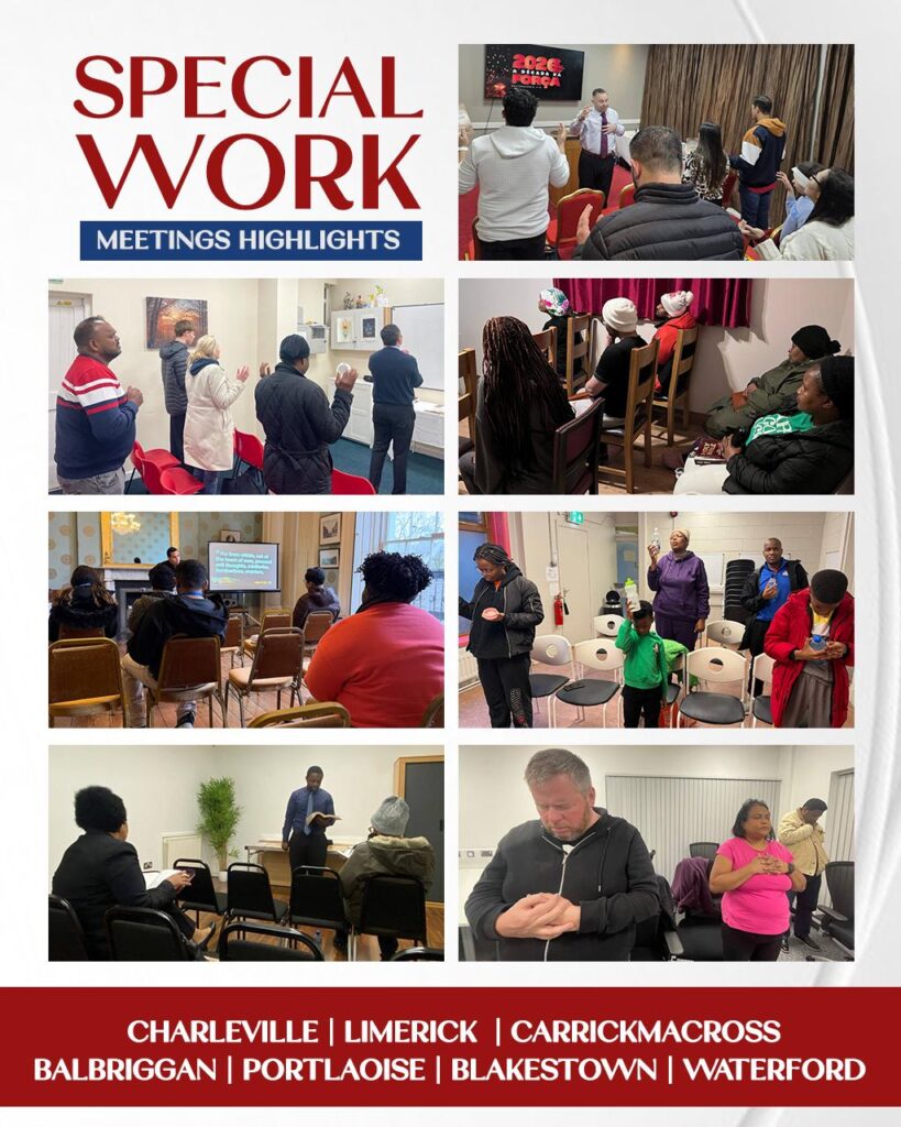 IMAGE 2026-01-29 09:21:02