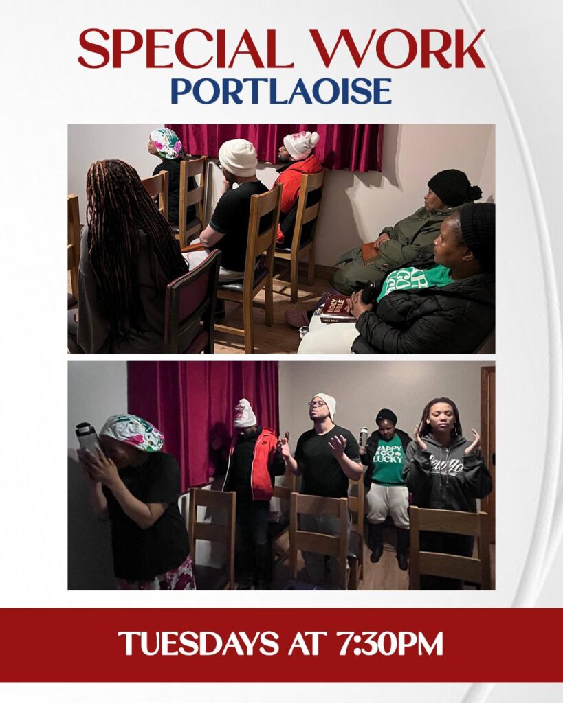 IMAGE 2026-01-29 09:21:06