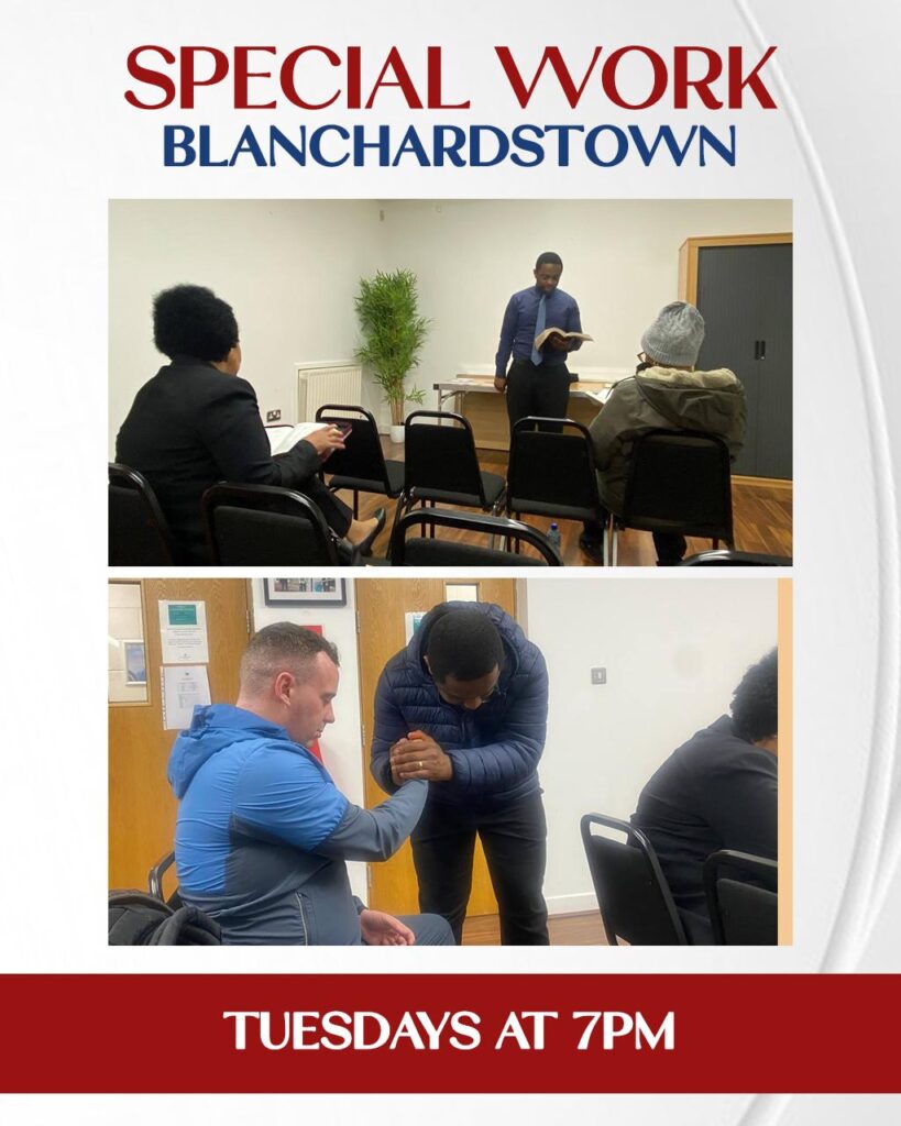 IMAGE 2026-01-29 09:21:08