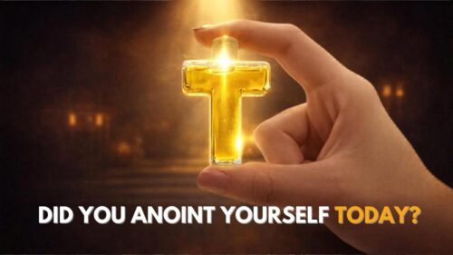 IMAGE 2026-04-28 10:07:24